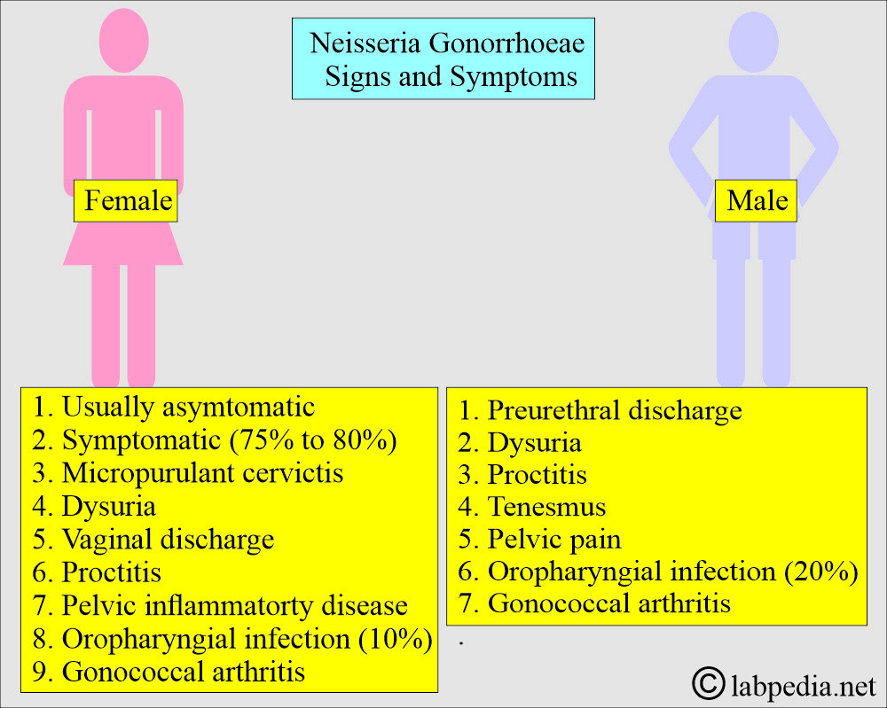 Neisseria Gonorrhoeae signs and symptoms