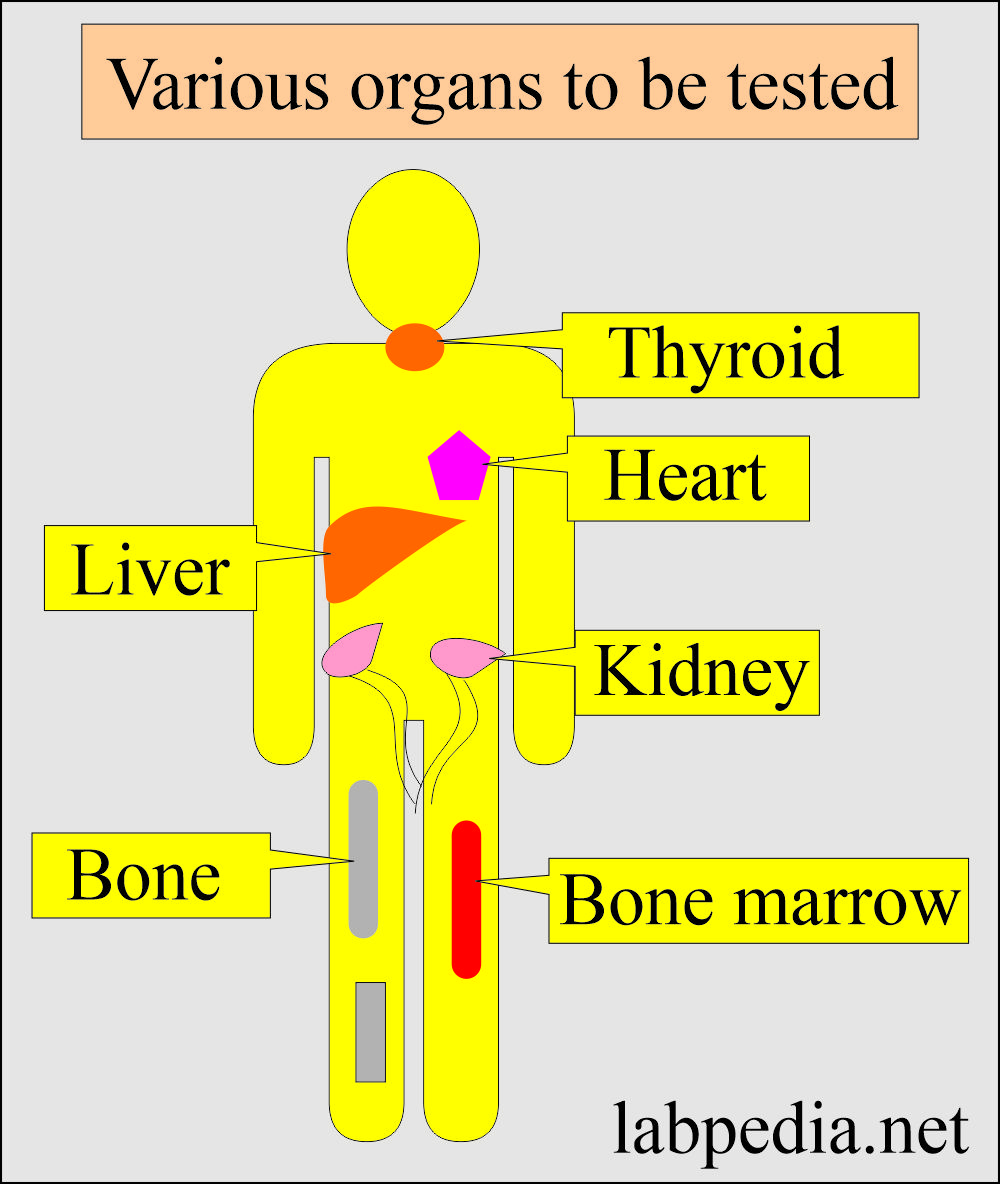 Panel of tests: Various Organs to be tested