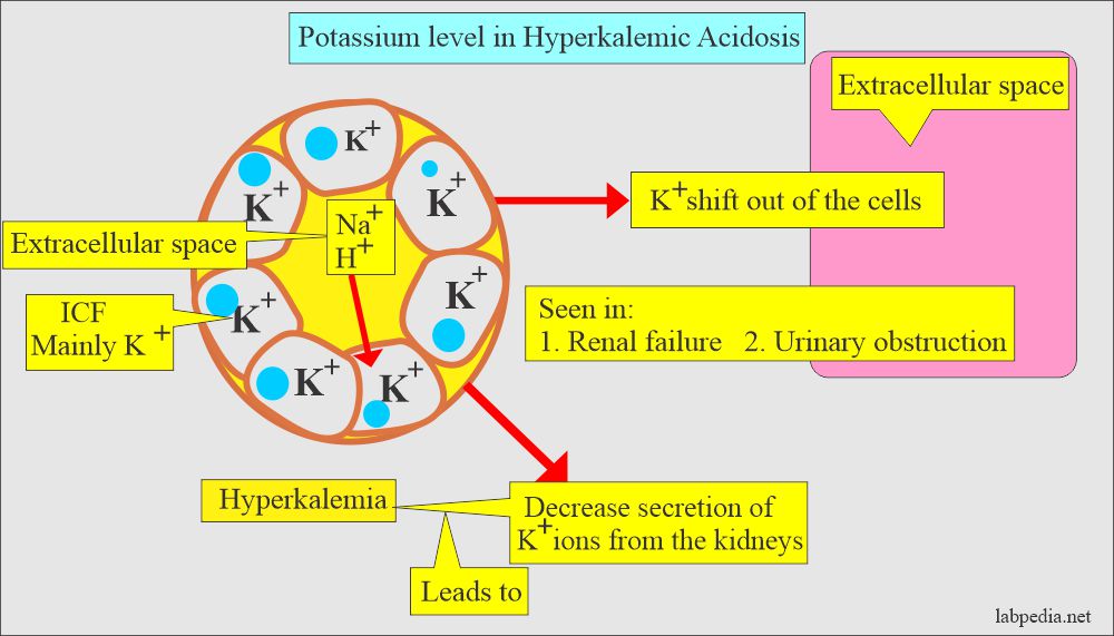 Acidosis in hyperkalemic Potassium 