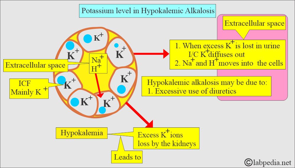 Potassium alkalosis process Potassium alkalosis process