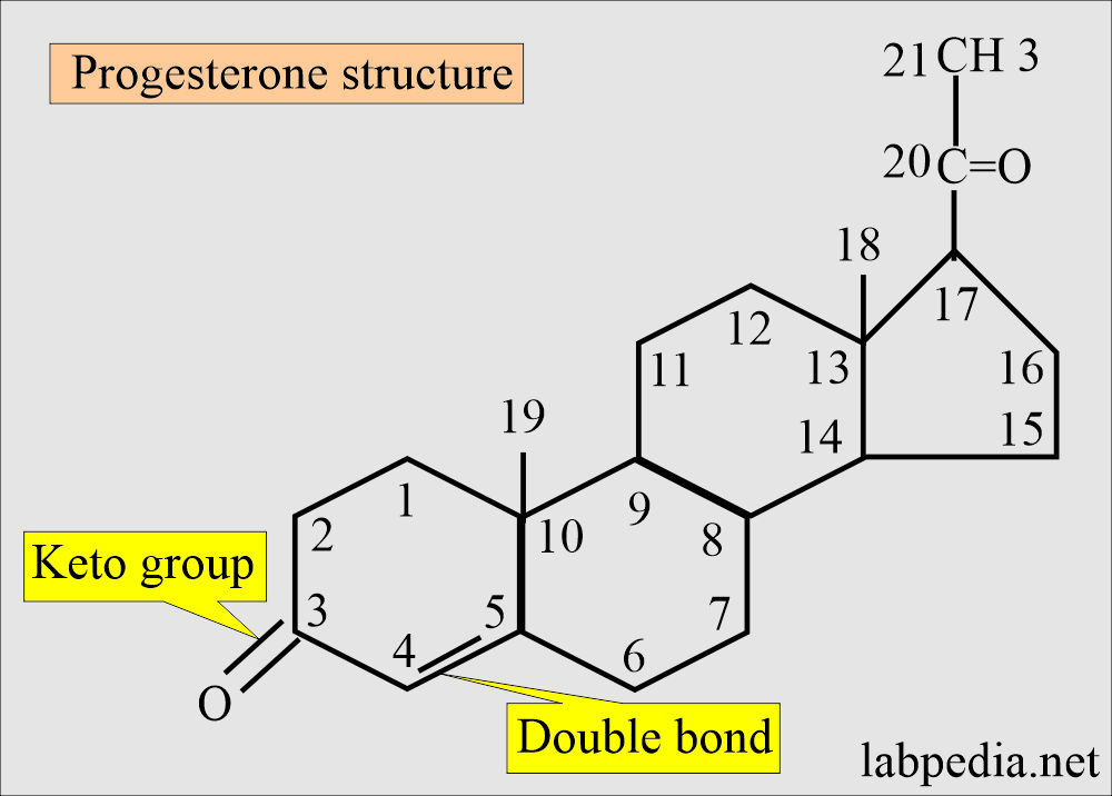 Progesterone structure