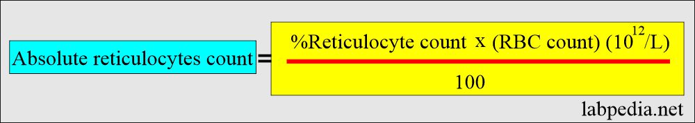 Reticulocyte absolute count