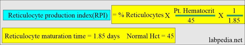 Reticulocyte production index (RPI)