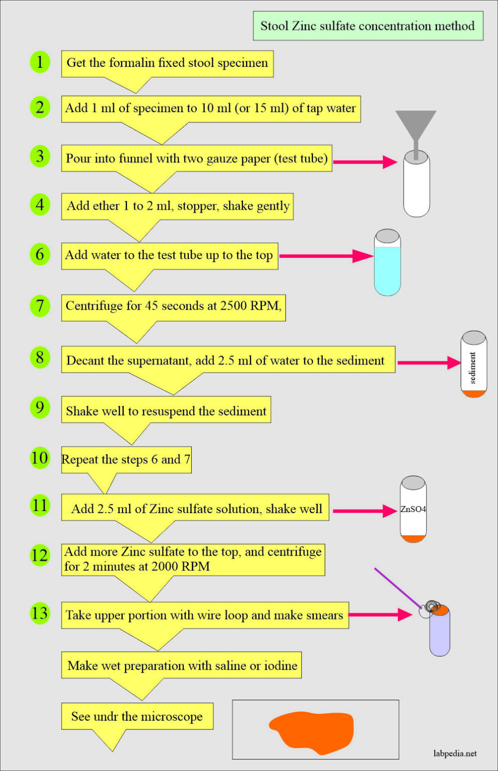Stool Examination Part 3 Stool Smear Preparation, Stains, Handling