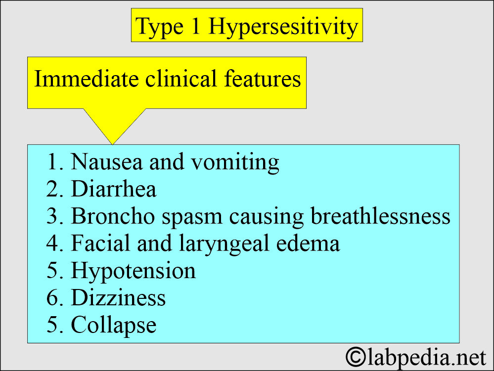 Summary of Type 1 Hypersensitivity reaction Summary of Type 1 Hypersensitivity reaction