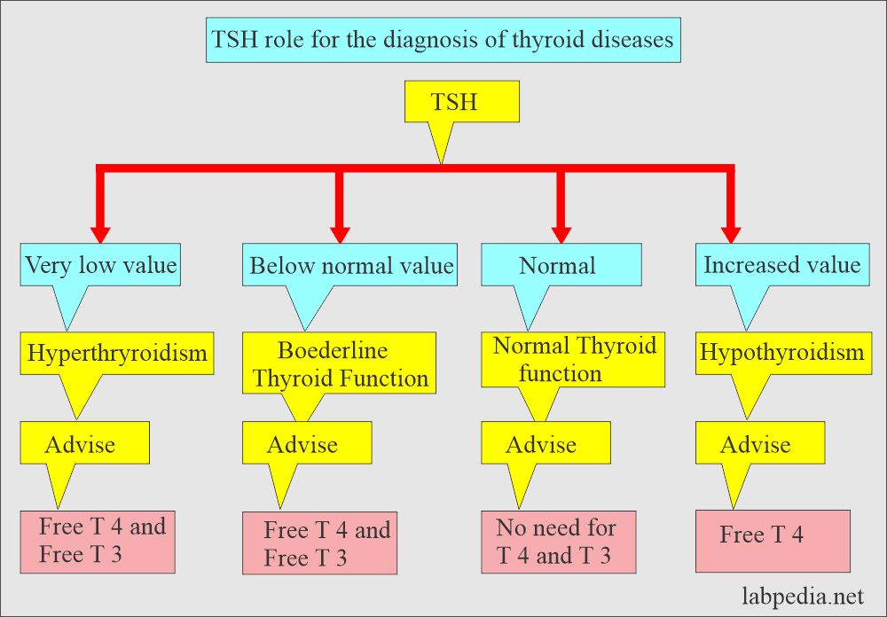 TSH and Free T3 role in thyroid diseases