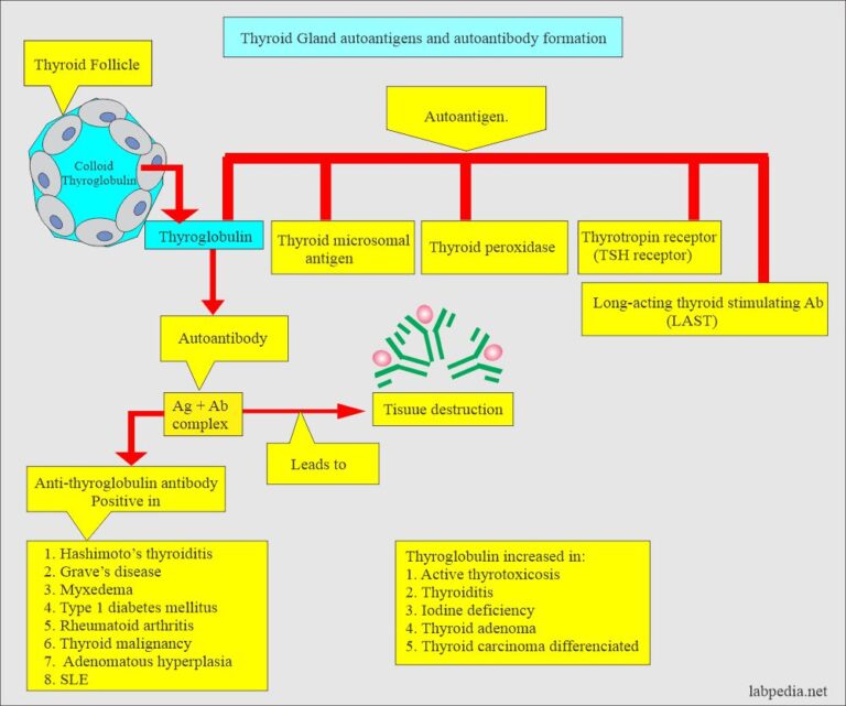 icd 10 code for anti thyroglobulin antibody