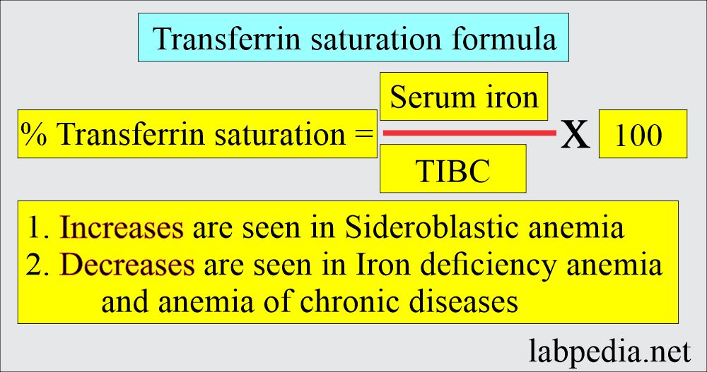 Transferrin % saturation formula