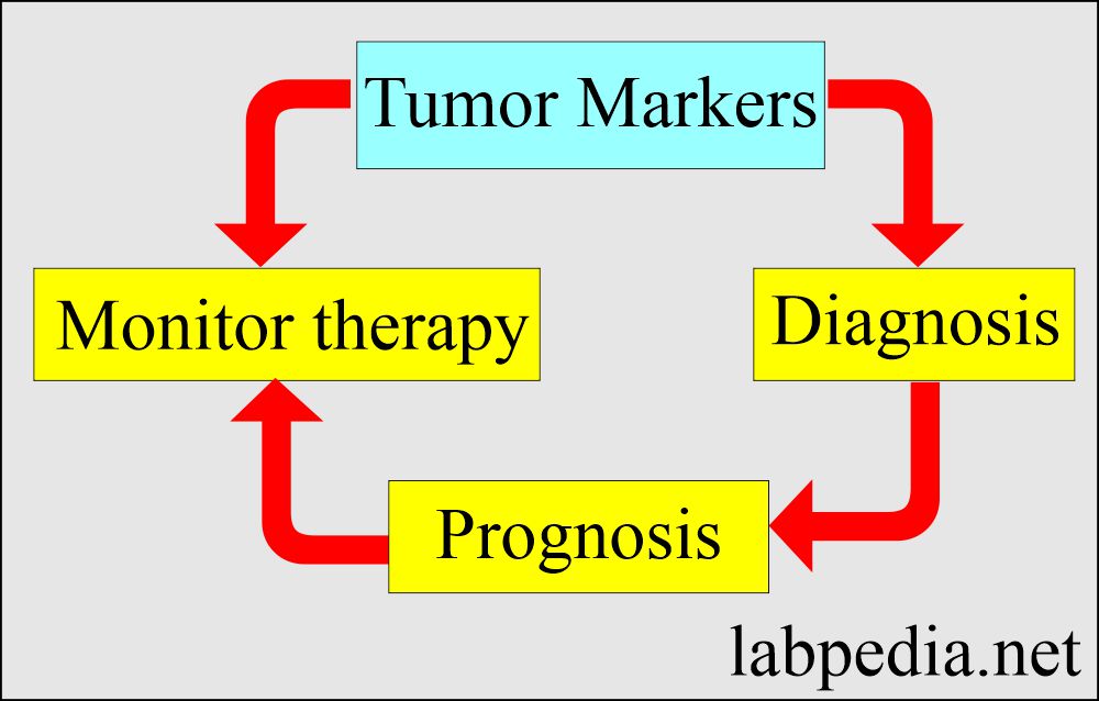 Tumor Marker Part 14 Summary Of Tumor Markers Labpedia