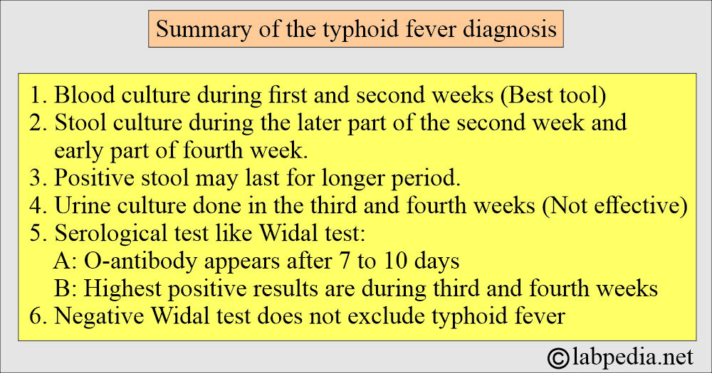 Summary of the Typhoid fever diagnosis Summary of the Typhoid fever diagnosis