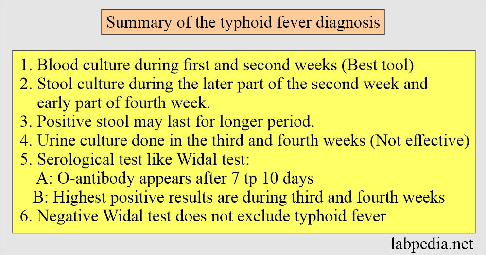 Typhoid fever diagnosis summary