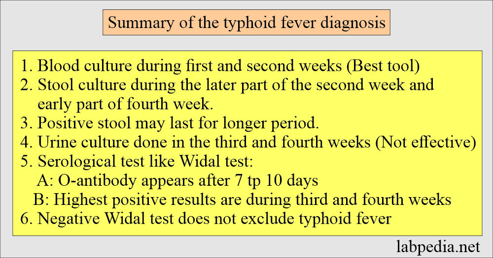 typhoid-fever-enteric-fever-salmonella-typhi