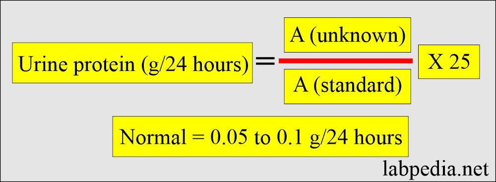 Urine TCA protein calculation formula
