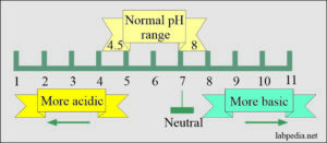 Urine complete Analysis - Labpedia.net