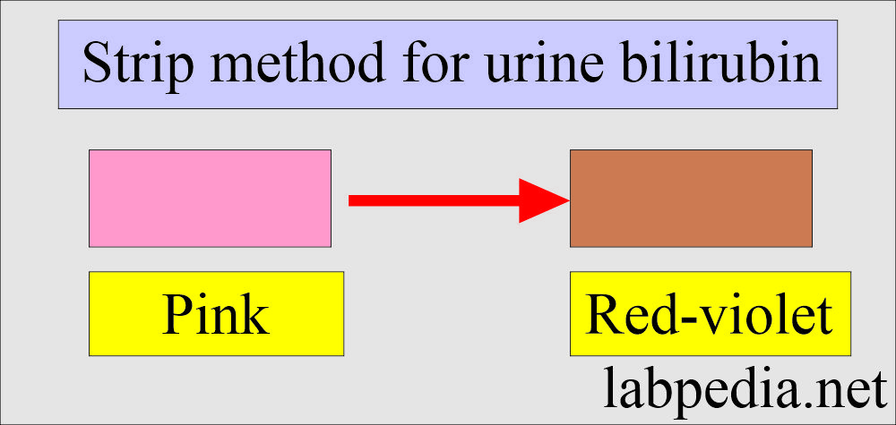 Urine bilirubin strip method