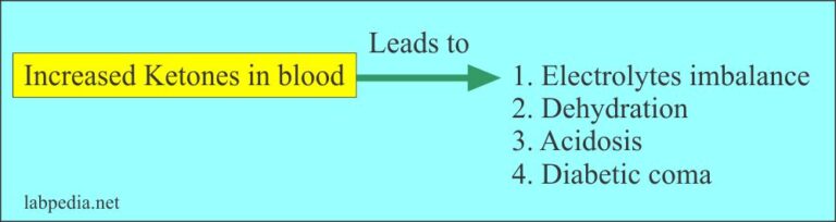 Urine Analysis: Part 27 – Urine for ketones, and Ketone Bodies