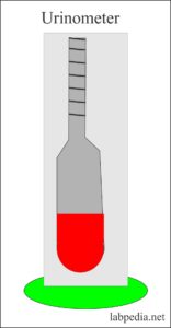 urine examination urinometer labpedia interpretation