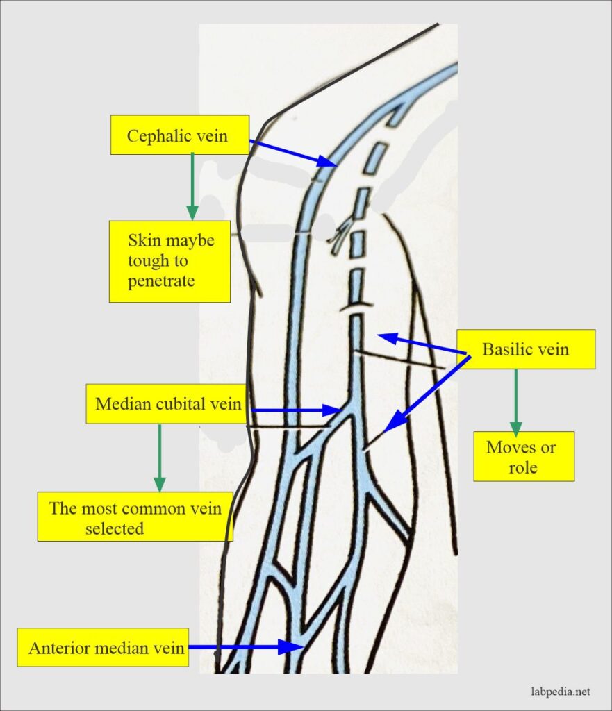 Blood sample Types, Anticoagulants, Preservatives, Adverse effects of