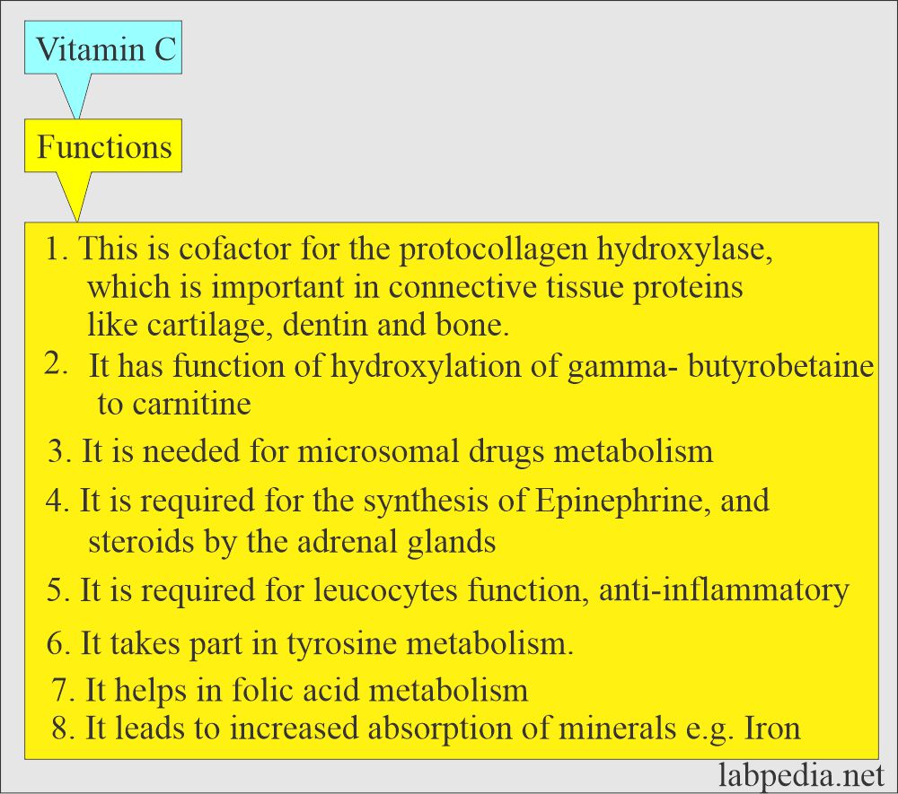 Vitamin C functions