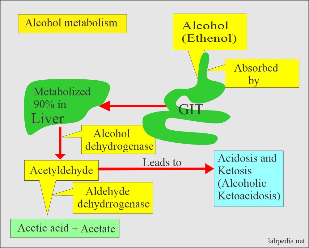 Alcohol metabolism