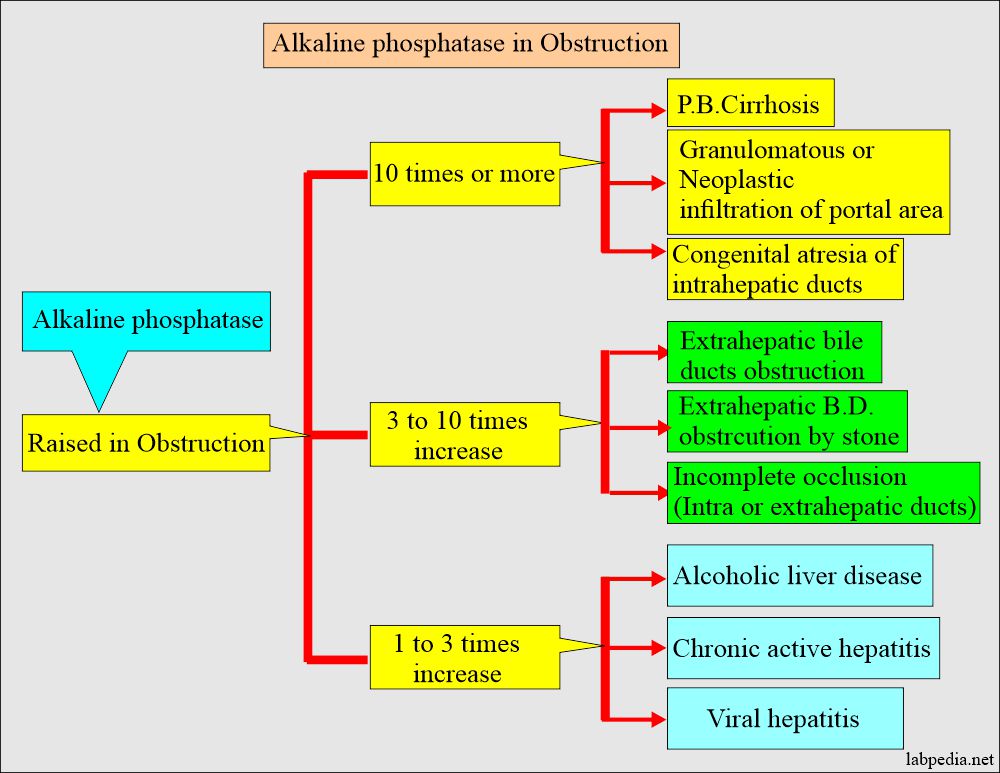 Alkaline phosphatse level in the biliary obstruction