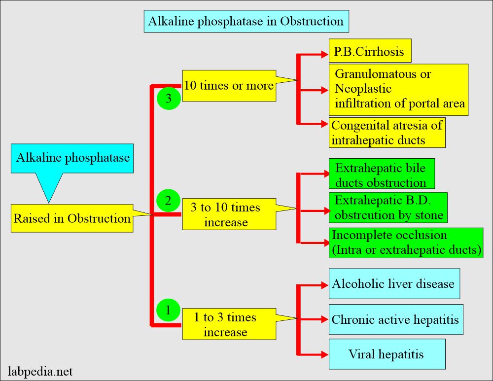 Alkaline phosphatase (ALP) level in obstruction 