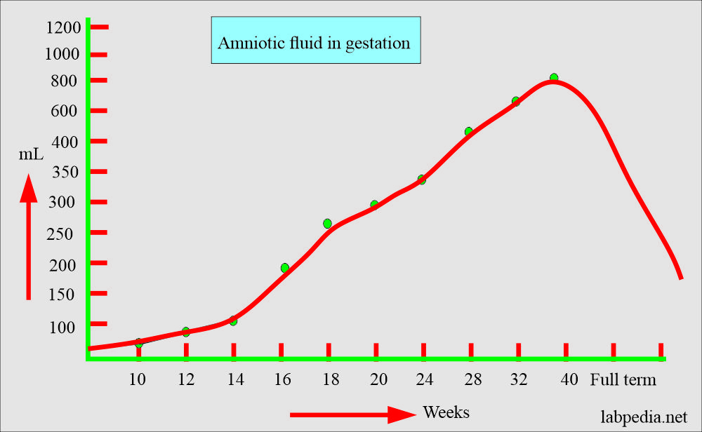 Amniotic fluid in gestation