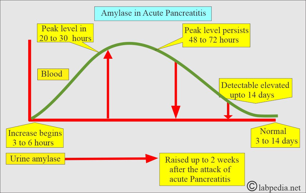 Amylase level in Acute pancreatitis Amylase level in Acute pancreatitis