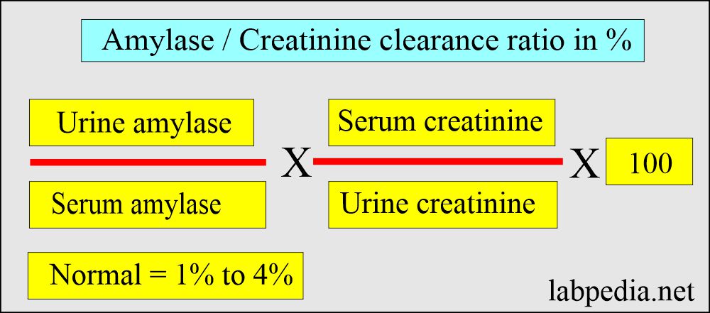 Amylase/creatinine clearance ratio