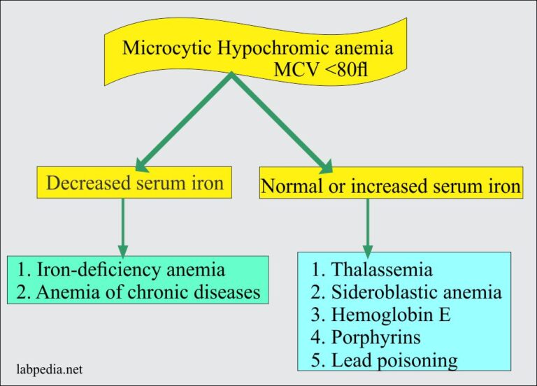 Anemia Part 2 Iron Deficiency Anemia Microcytic And Hypochromic Anemia Diagnosis And 6852