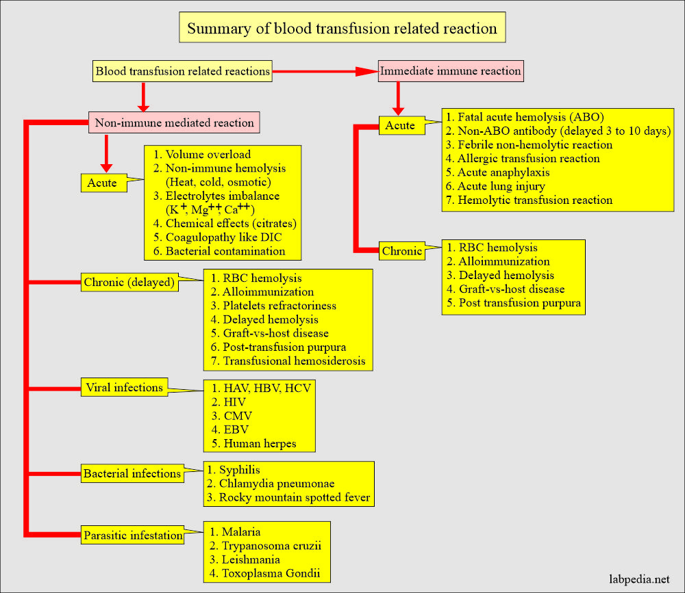 Summary of the blood transfusion reactions