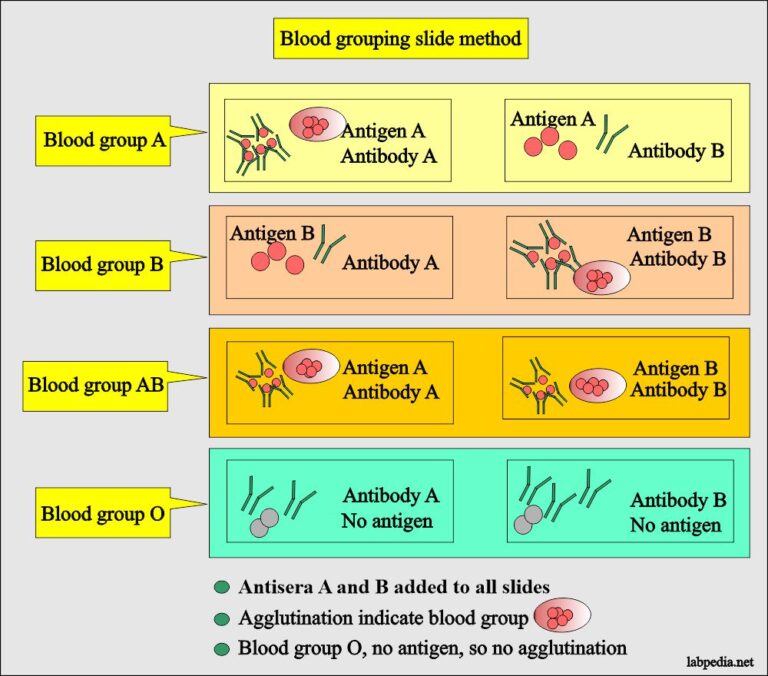 blood group problem solving