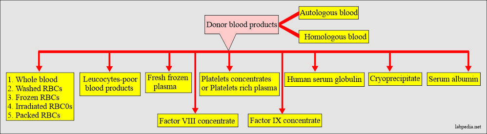 Blood Donation Procedure: Donor blood products