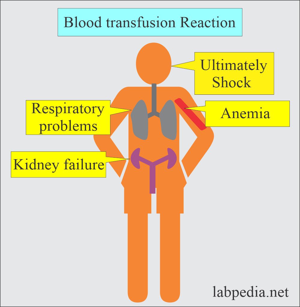 Summary of blood transfusion reaction complications