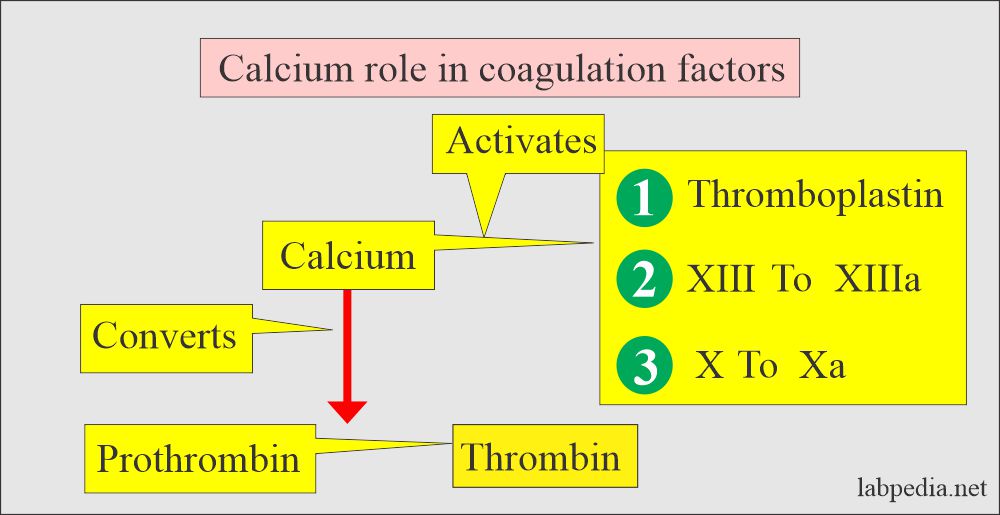 calcium role in activation of coagulation factors