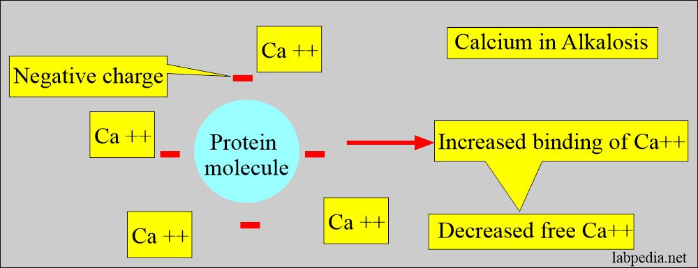 Calcium in alkalosis