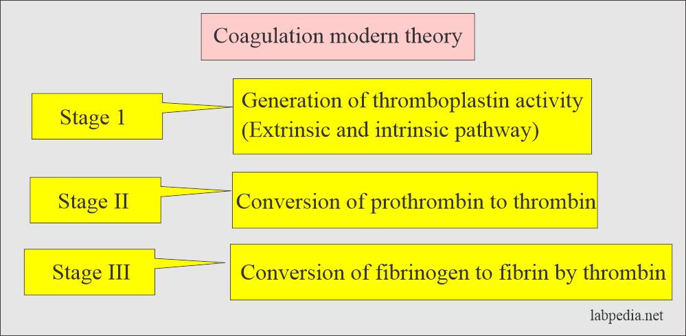 Activated Partial Thromboplastin Time (APTT): Coagulation modern theory