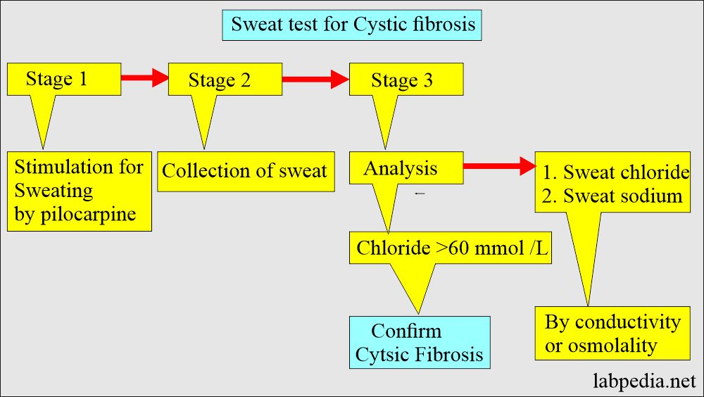 Cystic fibrosis sweat test
