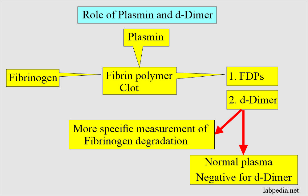 Role of Plasmin and d-Dimer 