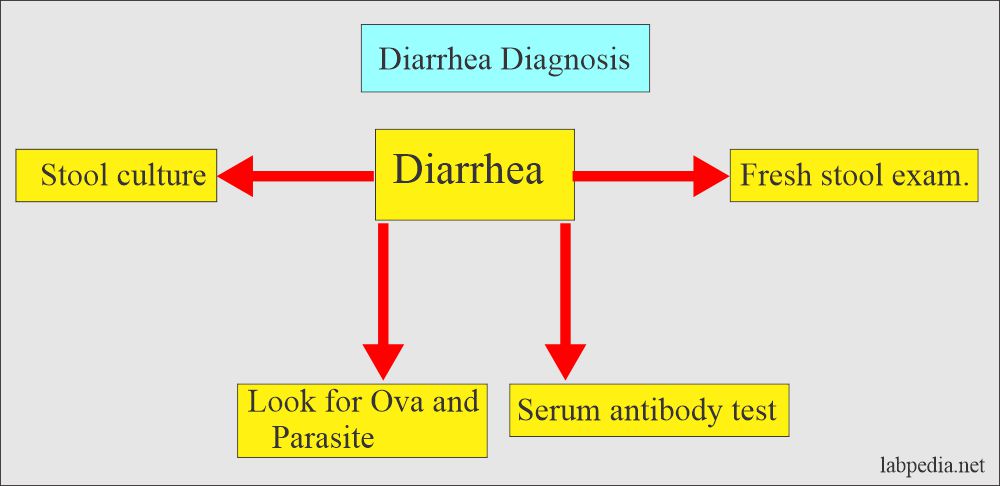 Diarrhea causative agents and diagnosis