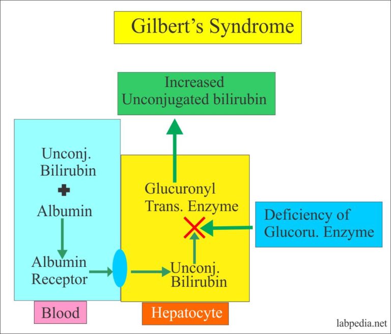 Gilbert’s Syndrome part 1