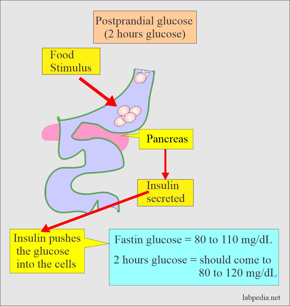 Postprandial (glucose 2 hours) presentation