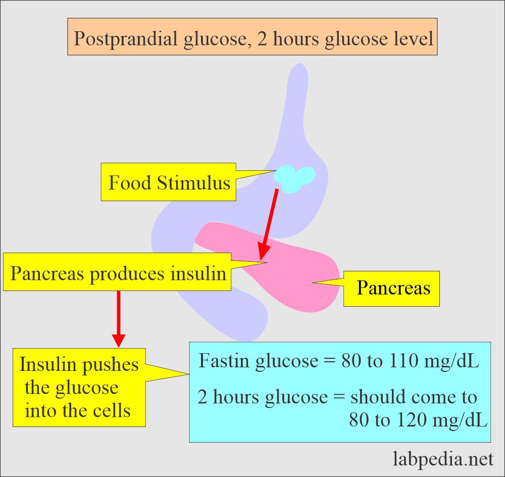 Post prandial glucose (2 hours glucose)