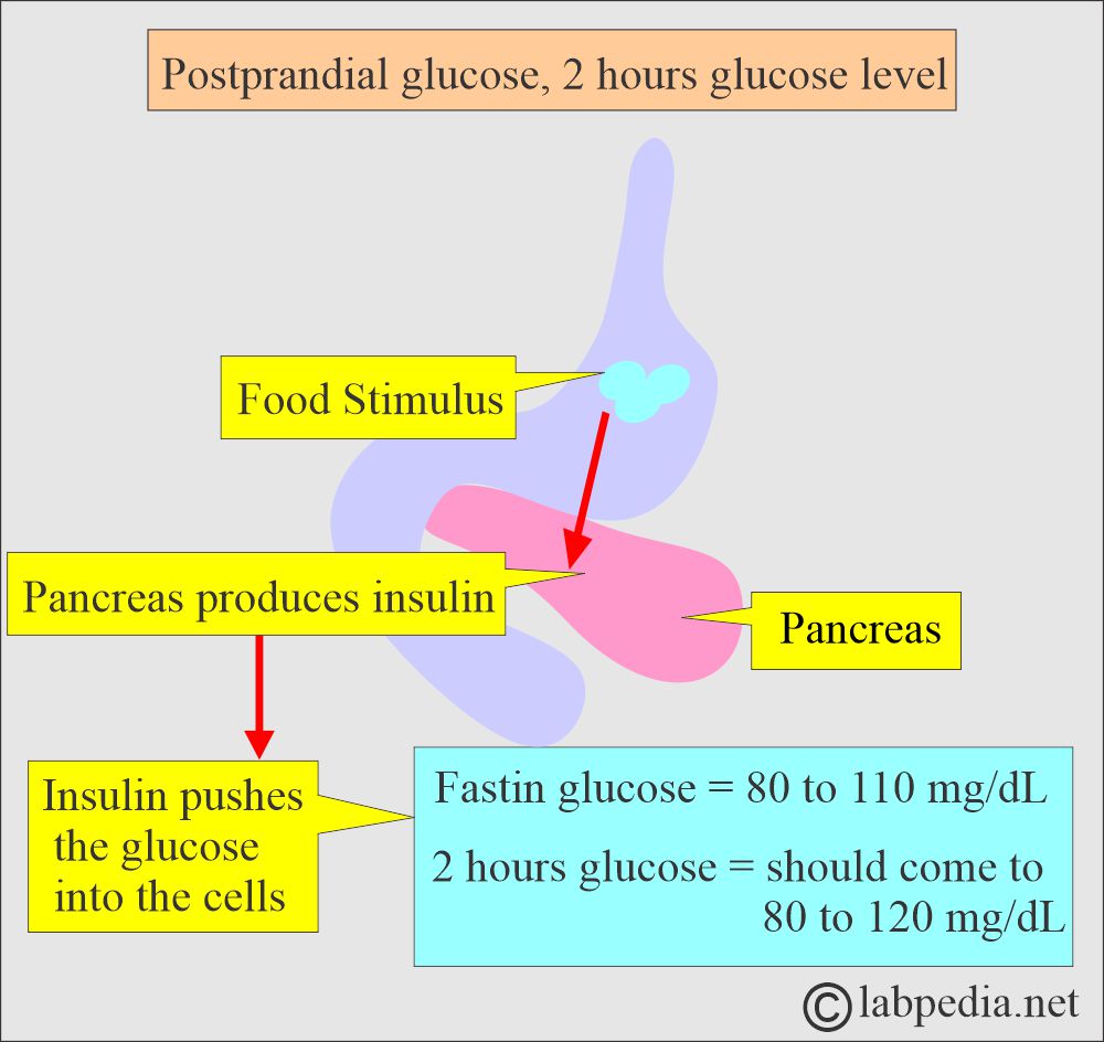 Post prandial glucose Post prandial glucose