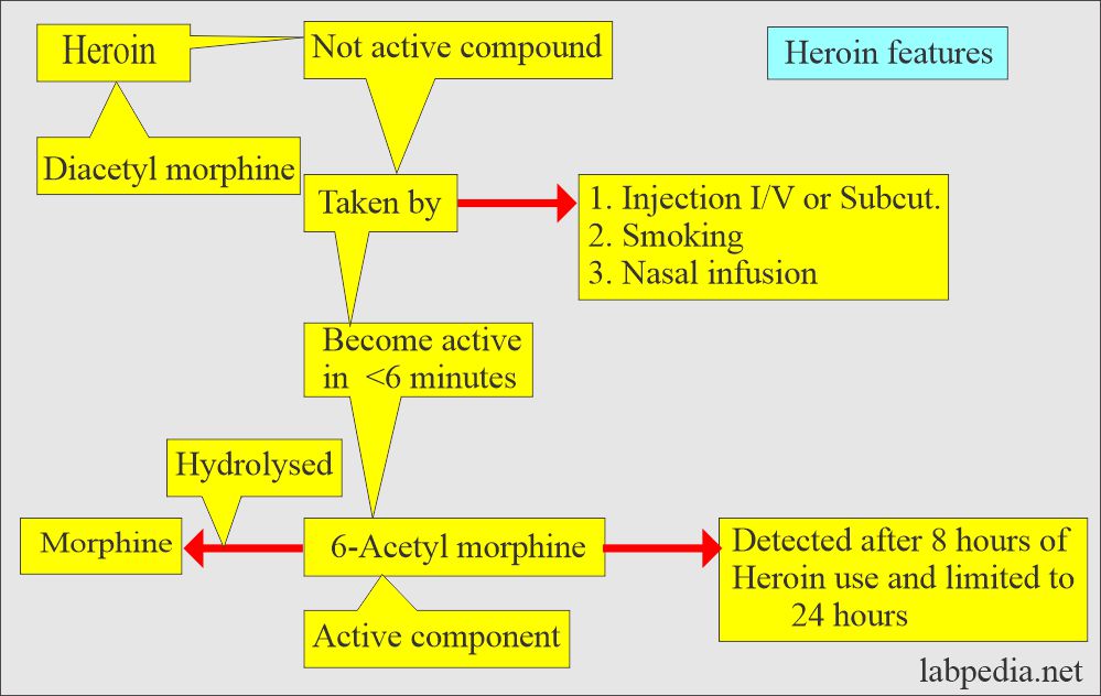 Drugs abuse: Heroin characteristic features