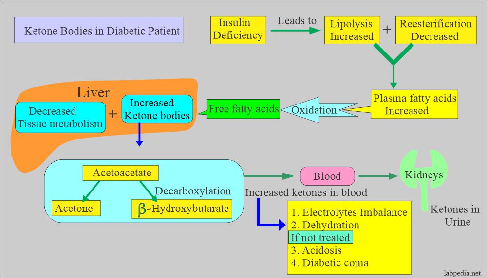 ketone bodies formation in diabetic and complications
