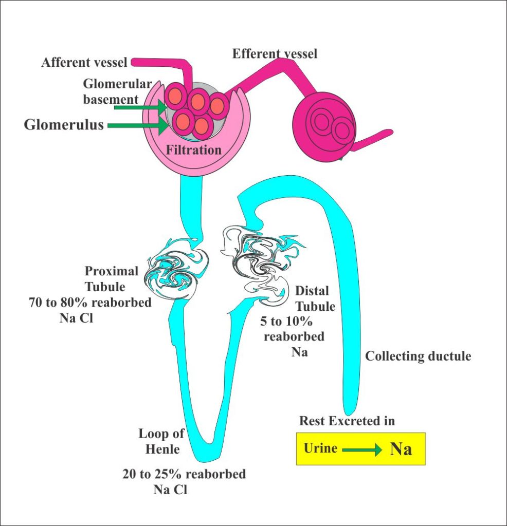 what-is-the-ph-of-urine-when-calcium-oxalate-and-uric-acid-crystals-are