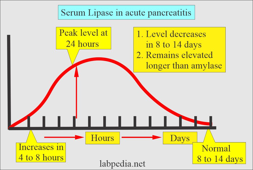Lipase serum level in acute pancreatitis