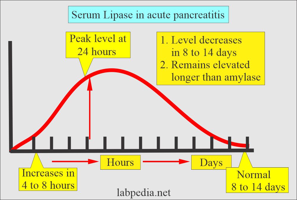 Lipase level in acute pancreatitis