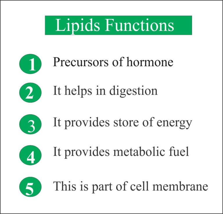 Lipids Total – Labpedia.net